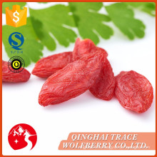 Бесплатная пробная ягода goji с низкой ценой, насыпная сухая ягода goji фарфора